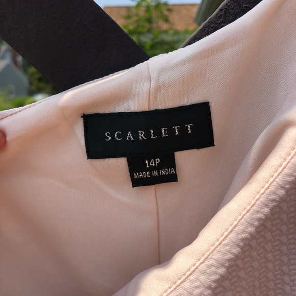 🦩 HP🦩Scarlett blush size 14P dress - Picture 3 of 4